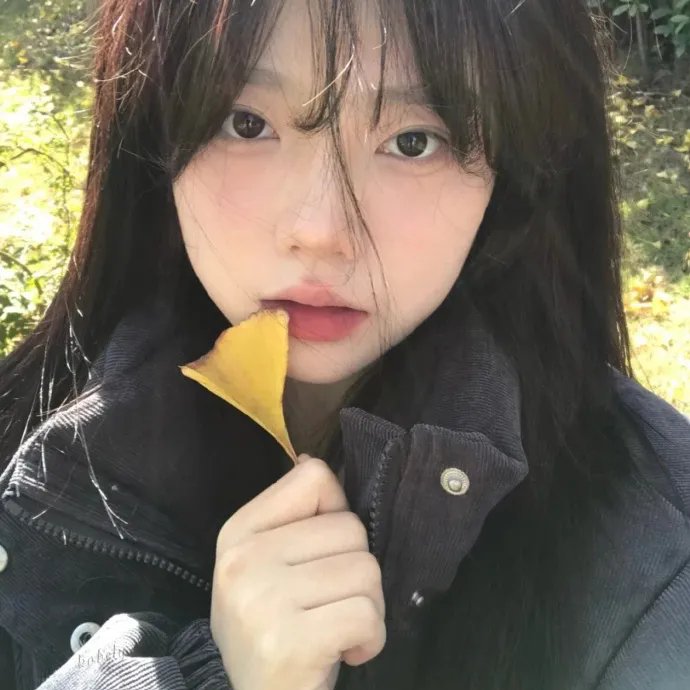 总统的分析